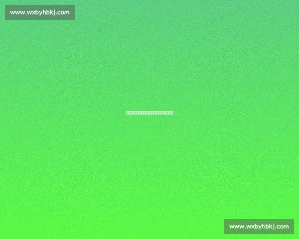 球台无界：樊振东与小弗的跨语言战术日常