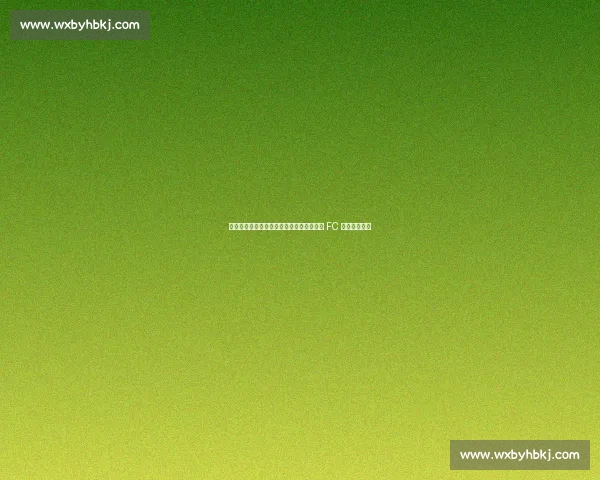 北美联杯惊现另类官宣！孙兴慜加盟洛杉矶 FC 成新锋线核心